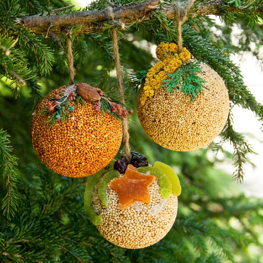 Mr. Bird Fruit Ornament Ball Basket