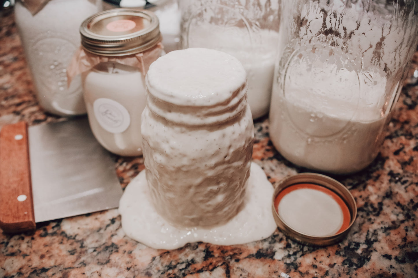 Sourdough Starter