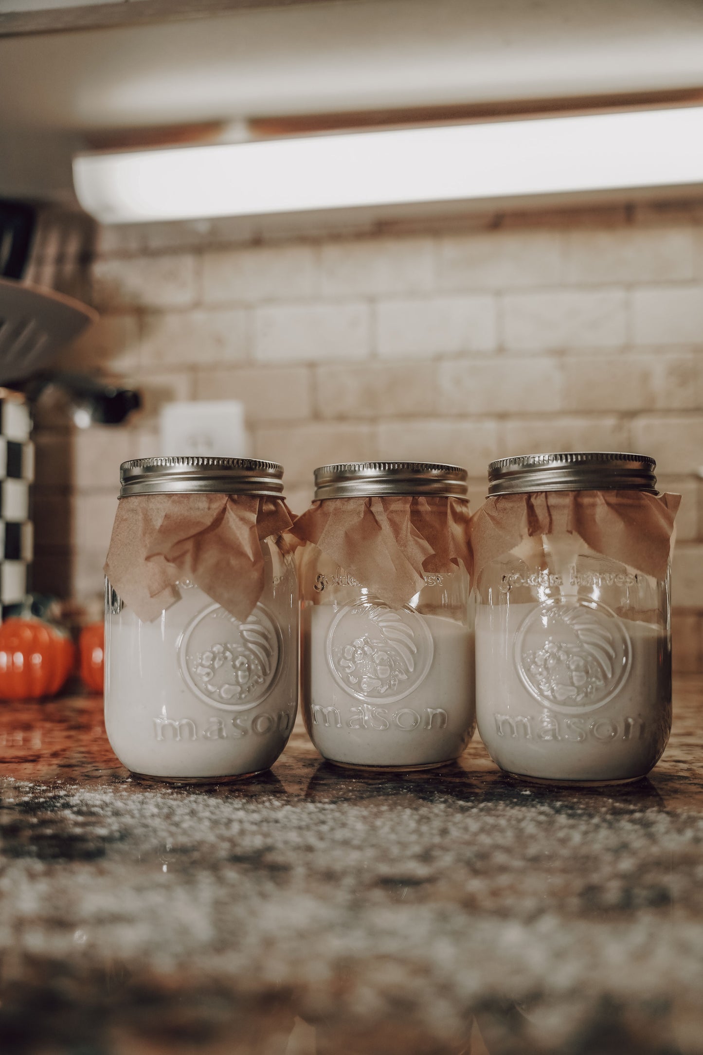 Sourdough Starter