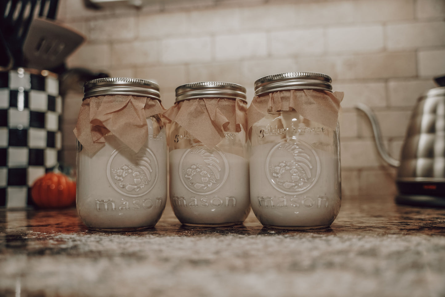 Sourdough Starter