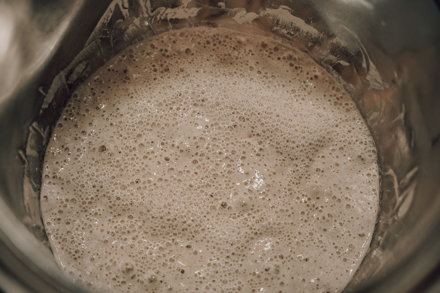 Sourdough Starter