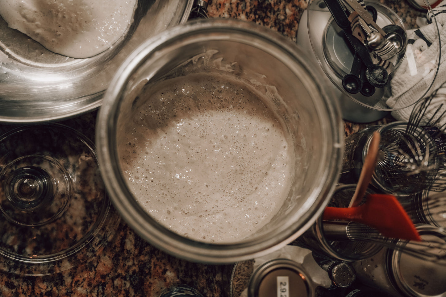 Sourdough Starter