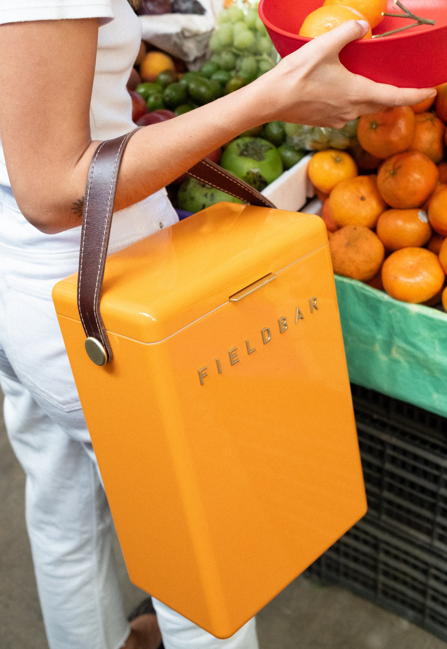 Fieldbar Drinks and Gin Box, Orchard Orange, (10.5qt or 24 liter)