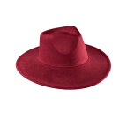 Kenze Panne Wide Brim Western Hat - Suede