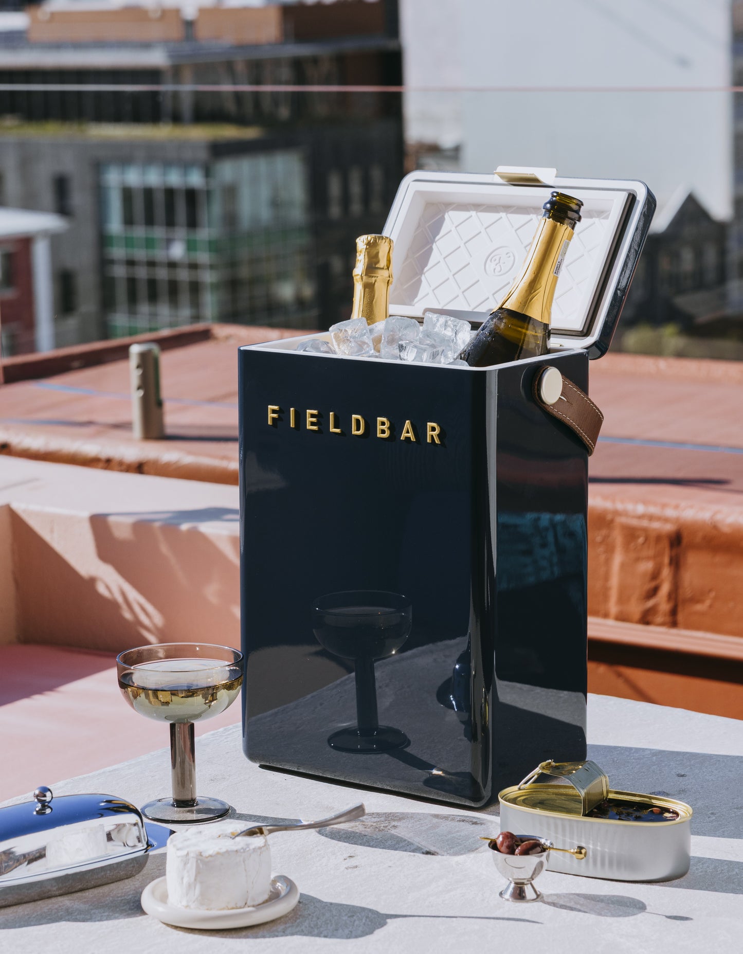Fieldbar Drinks and Gin Box, Sea Boat Blue, (10.5qt or 24 liter)