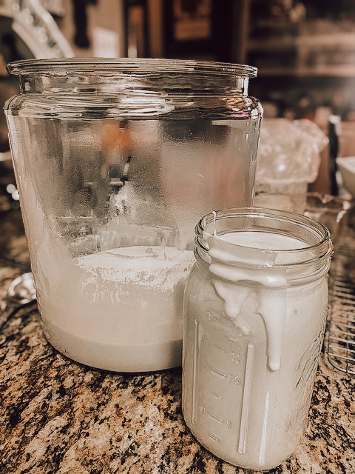 Sourdough Starter