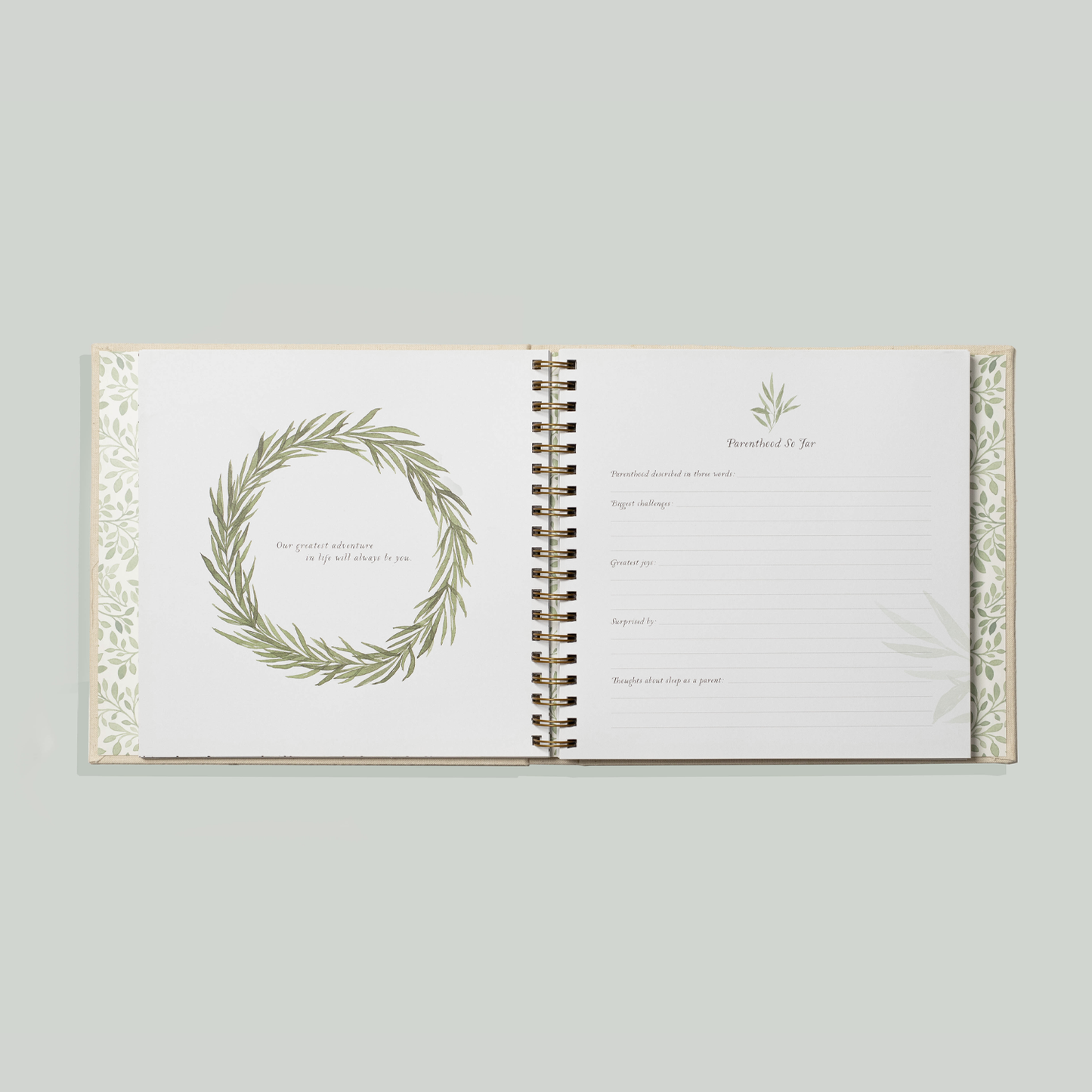 Paige Tate & Co. As You Grow: A Modern Memory Book for Baby (New Mom)