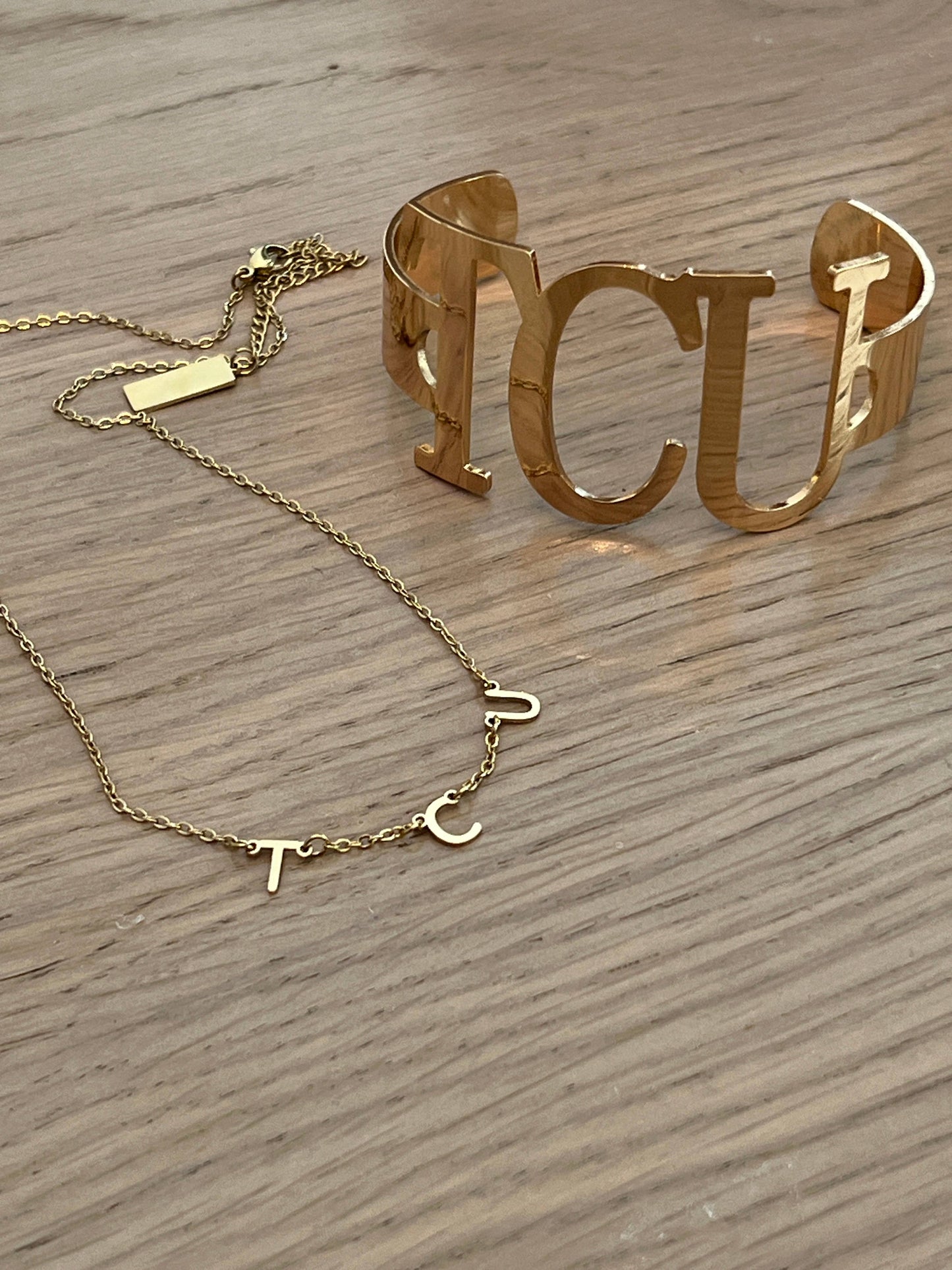Steele Sloan Designs TCU Charm Necklace