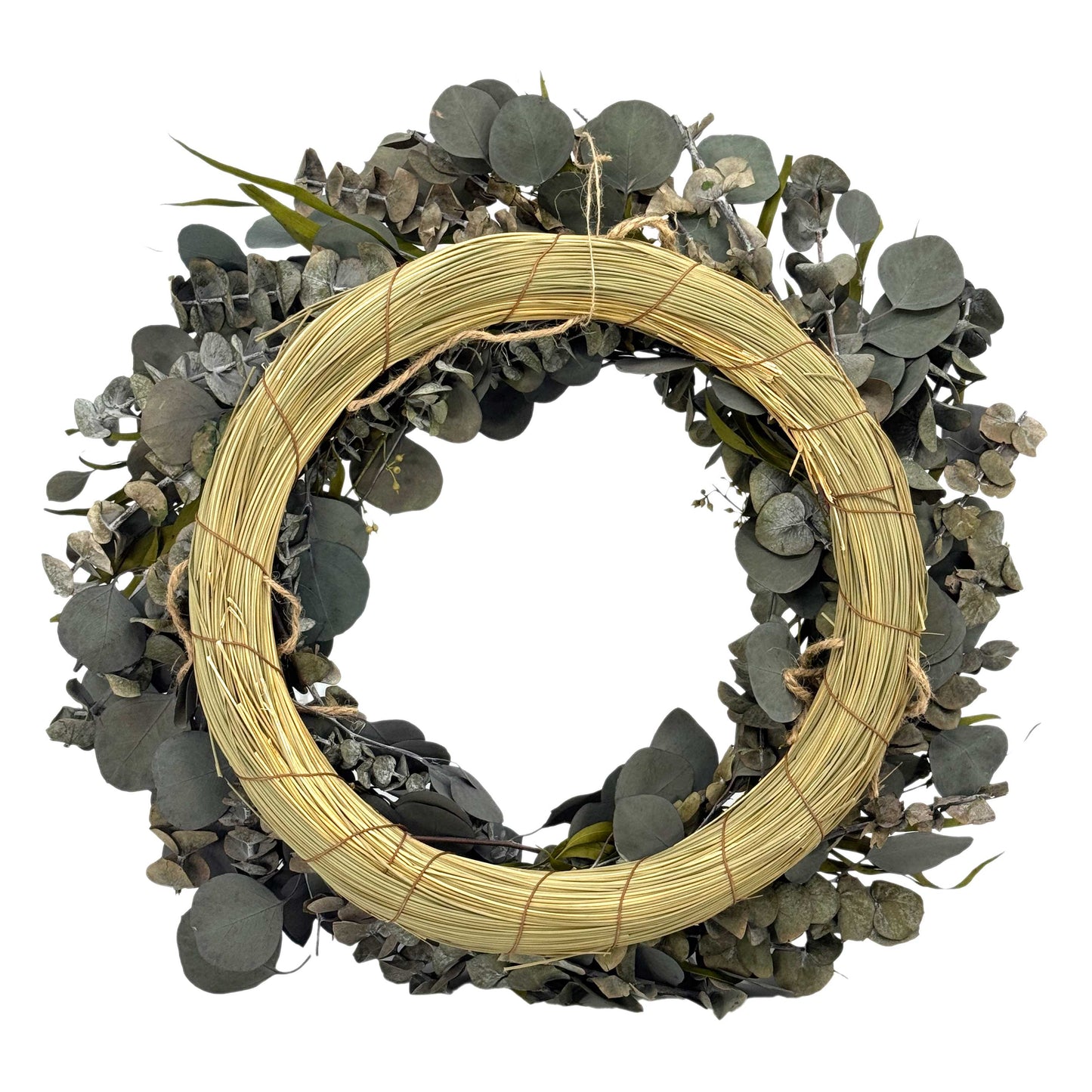 Galt Naturally Preserved Green Eucalyptus Wreath 21"