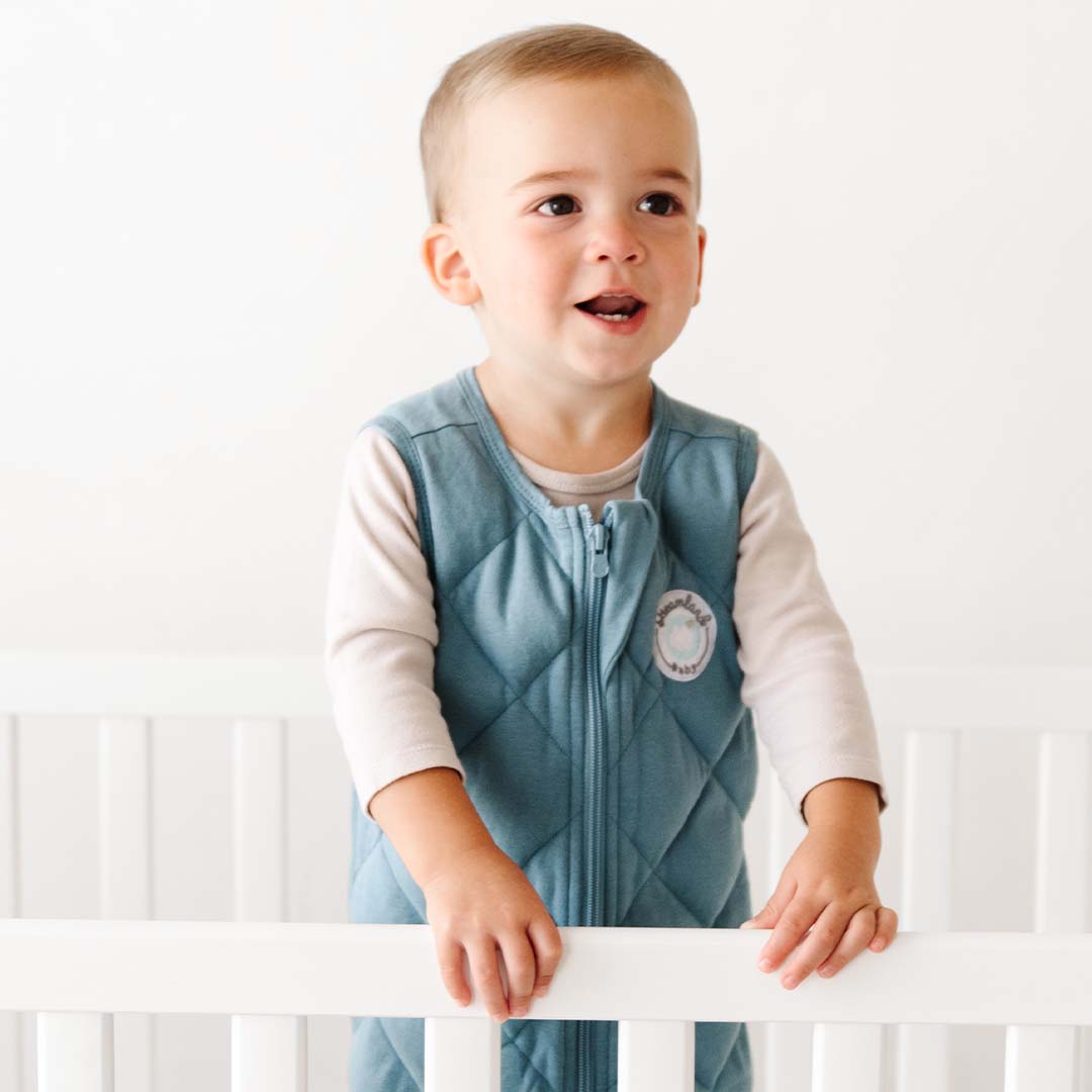 Dreamland Baby Dream Weighted Sleep Sack - Ocean Blue 6-12 mths.