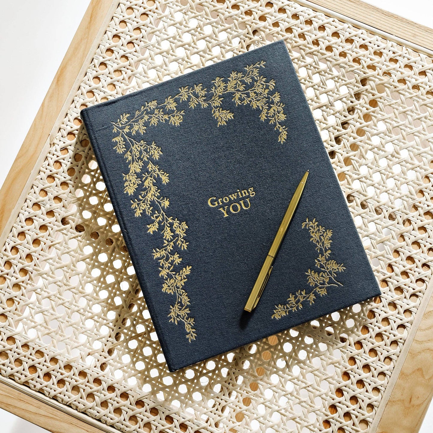 Paige Tate & Co. Growing You: Pregnancy Guided Journal and Keepsake Book