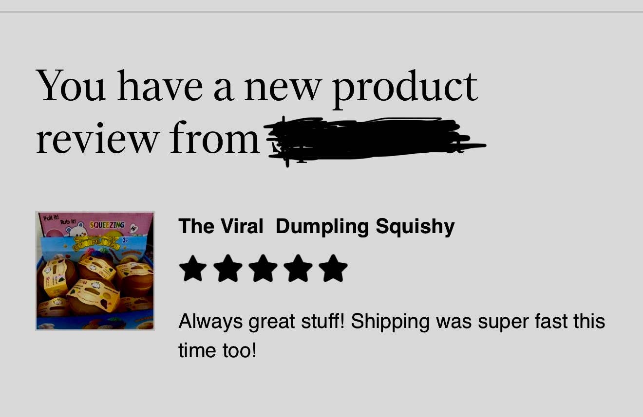 The Viral Dumpling Squishy  - Glitter Edition