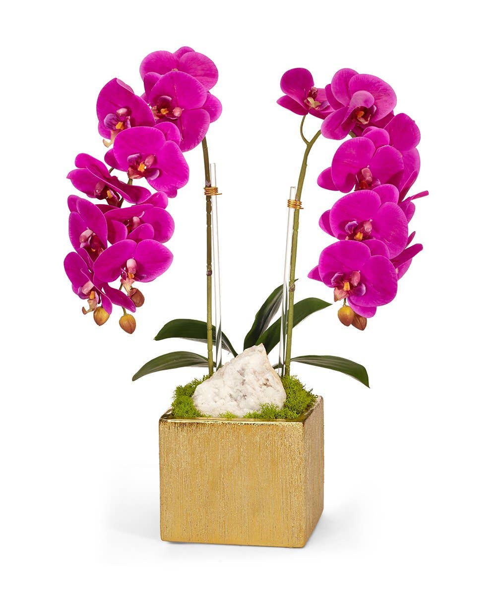 T&C Double Orchid in Gold Square - FU