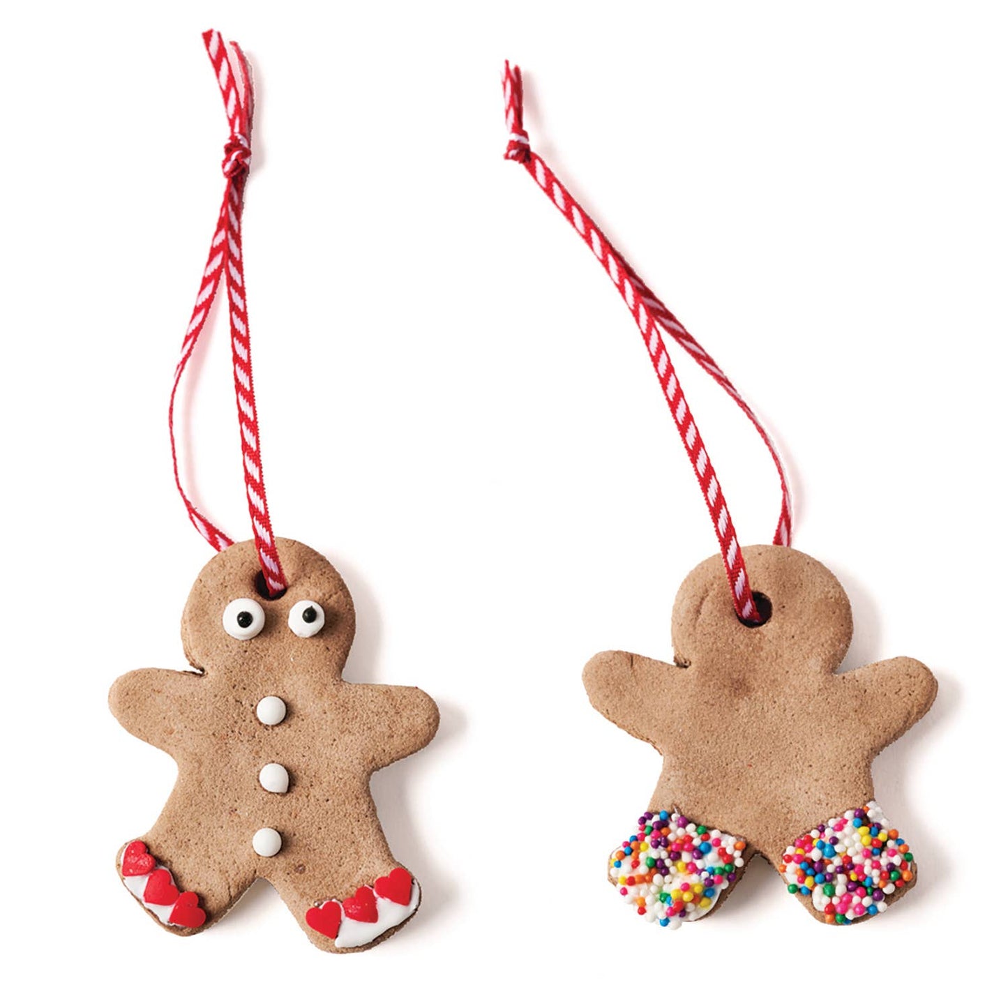 Eco-Kids Gingerbread Ornament Kit - case