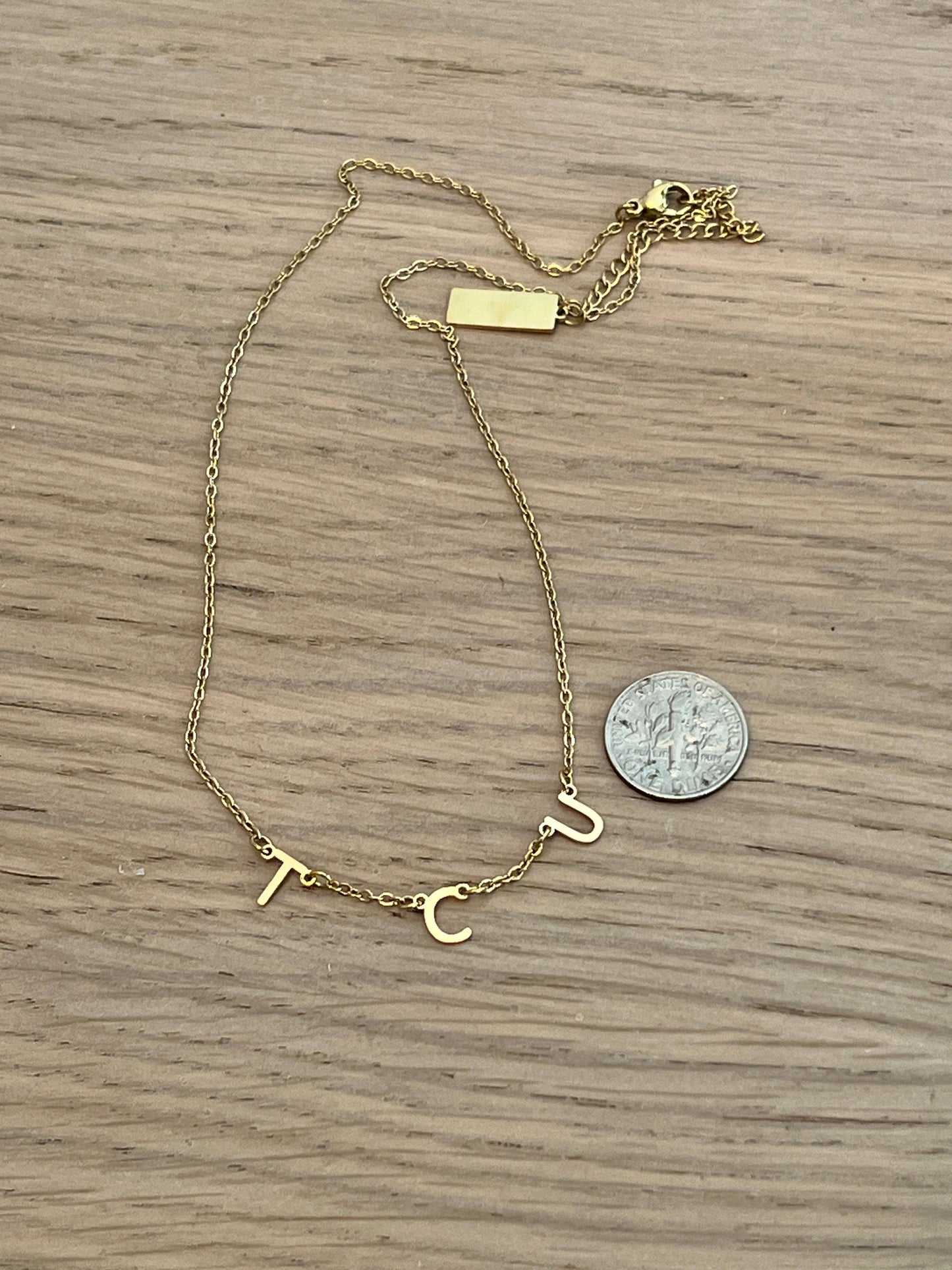 Steele Sloan Designs TCU Charm Necklace