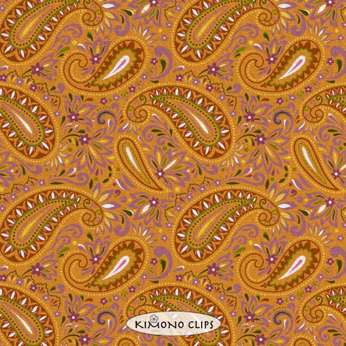 Kimono Clips Square Box Assorted