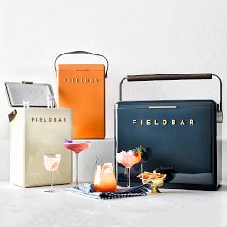Fieldbar Drinks and Gin Box, Sea Boat Blue, (10.5qt or 24 liter)