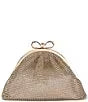 Badgley Mischka Nikko Crystal Mesh Pouch Clutch