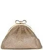 Badgley Mischka Nikko Crystal Mesh Pouch Clutch