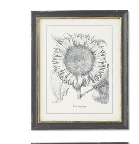 K&K Interiors Black & Gold Framed Sunflower & Artichoke Prints