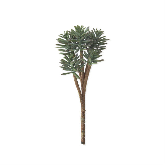 K&K Powdered Green 5 Head Spiked Succulent Pic, 12"