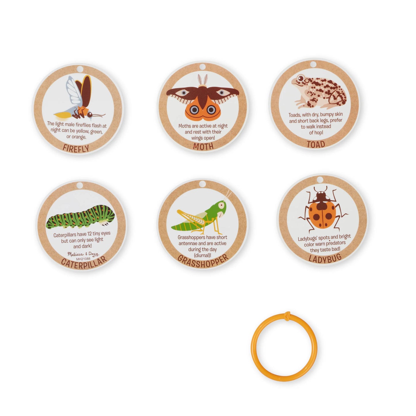 Melissa & Doug Let's Explore Terrarium Observations Play Set